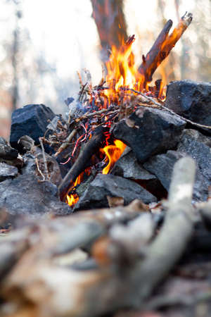 Stone fire bonfire burning sticks firewood in autumnの写真素材