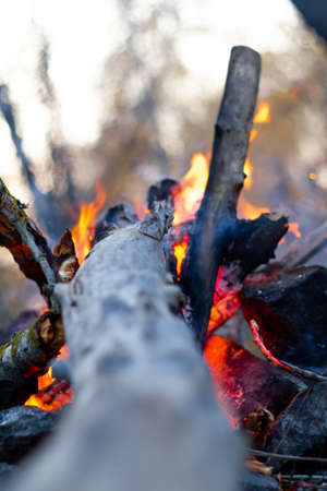 Stone fire bonfire burning sticks firewood in autumnの写真素材