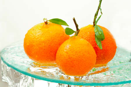 three orange mandarins with a branch and leaves stand in water on glass on a white backgroundの写真素材