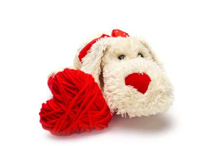 red knitted heart and plush fluffy little dog with a red nose for Valentine's Day on a white background, isolate .close upの写真素材