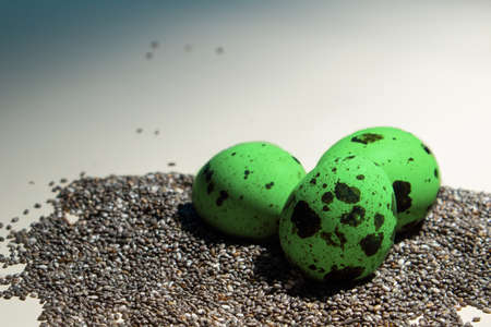 dragon green eggs on sea stones blue background, close up, copy spaceの写真素材