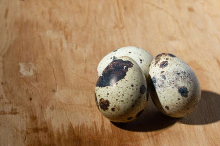quail eggs on a light tree blue background, close up, copy space