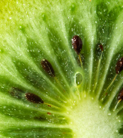 green kiwi with pits on a blue background. close upの写真素材