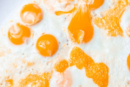 fried eggs of quail eggs in the shape of a circle on a white background. close up copy spaceの写真素材