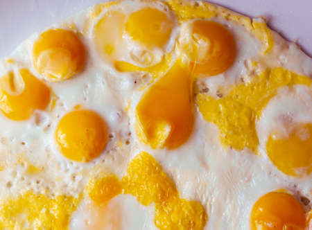 fried eggs of quail eggs in the shape of a circle on a white background. close up copy spaceの写真素材