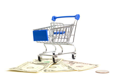 a basket with blue inserts inserted stands on dollar bills and a coin on a white background. isolateの写真素材