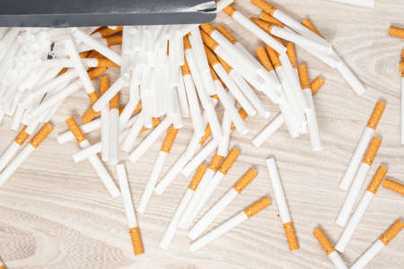 many shells are scattered on a light wooden