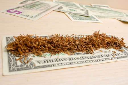 dollar with tobacco in the background five dollars on a light tree