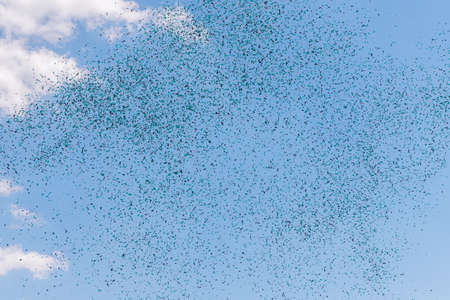 confetti green white in the skyの写真素材