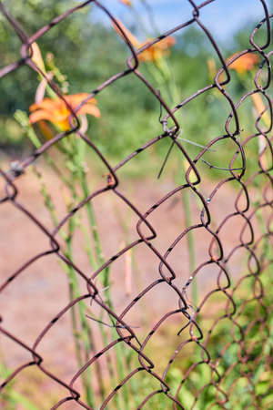 mesh fence at the summer cottage close-up