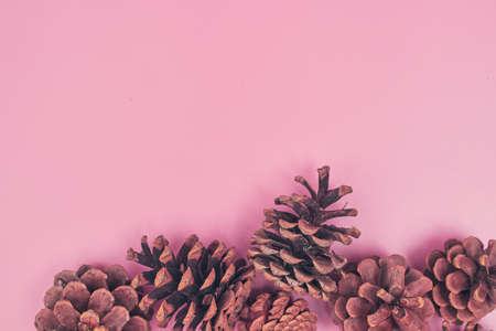 christmas cones on pink background isolate, copyspace, layoutの写真素材