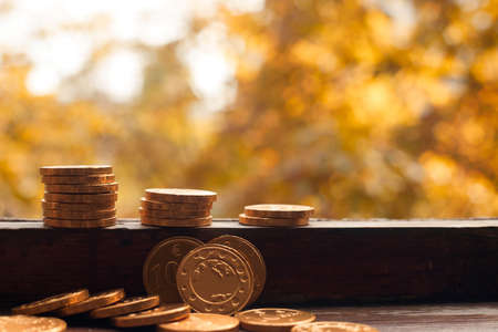 Gold coins on wood on light backgroundの写真素材
