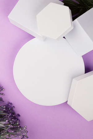 white platform with geometric shapes and flowers and monstera on a purple background