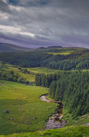 Panoramic photo in County Wicklock Ireland, landscape in nature with a lovely valley and mountainsの写真素材