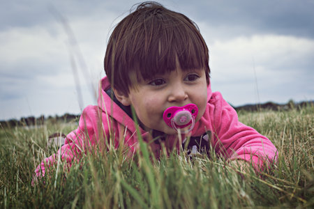 child portrait Adorable 4 year old girl with pacifier and sweater playing with violet wildflowers,...