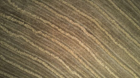 Lives of harvesting of wheat in summer. View from above.