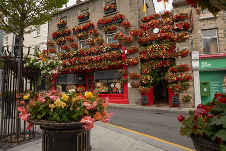 Graiguenamanagh - IRELAND - JUL 07-2021 house surrounded by flowers in the Irish city of County...