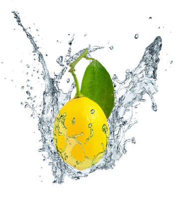 lemon, leaves and water splash 2の写真素材