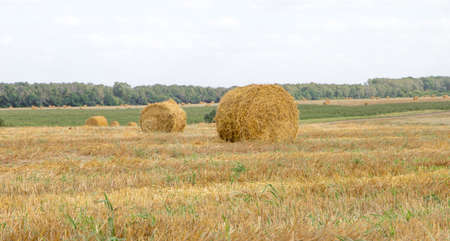 Golden sunset over farm field with hay bales