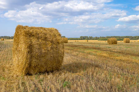 Golden sunset over farm field with hay balesの写真素材