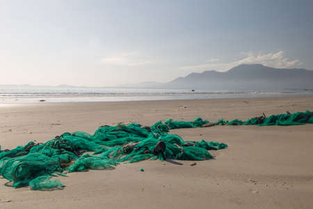 Sea turtle caught in fishing net, Costa Rica, Central America