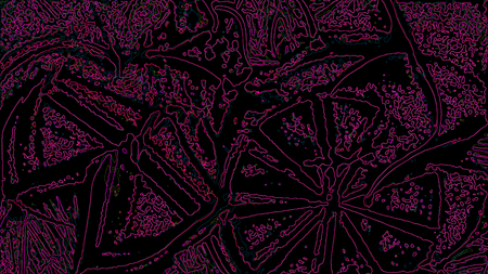 Fantasy chaotic colorful fractal pattern. Abstract fractal shapes. 3D rendering illustration...