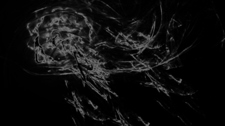 Fantasy chaotic colorful fractal pattern. Abstract fractal shapes. 3D rendering illustration background or wallpaper.の写真素材