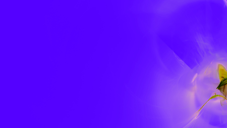 Fantasy chaotic colorful fractal pattern. Abstract fractal shapes. 3D rendering illustration background or wallpaper.の写真素材