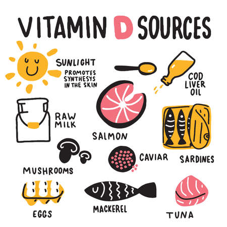 Vitamin D sources. Hand drawn illustration of different food rich of vitamin d. Vectorのイラスト素材