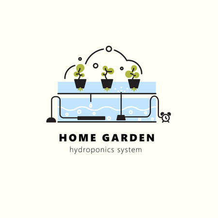 Hydroponics system. Vector illustration in outline style. Home gardenのイラスト素材