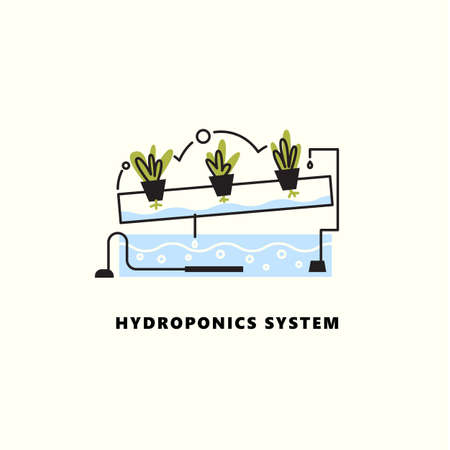 Hydroponics system. Vector illustration in outline style.のイラスト素材
