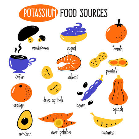 Vector cartoon illustration of potassium food sources. Infographic elementsのイラスト素材