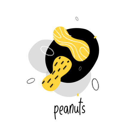Vector illustration of peanuts. Ideal for logo, packaging design.のイラスト素材