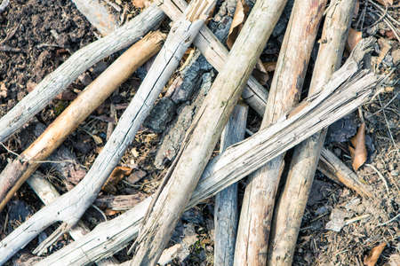 brown tree material structure