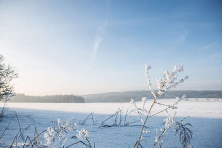 empty winter landscape under white snow