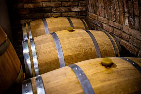 Wine in wooden barrels is stored. Wine vintage cellar