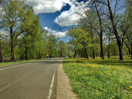 Life is beautiful in perfect sunny dayの写真素材
