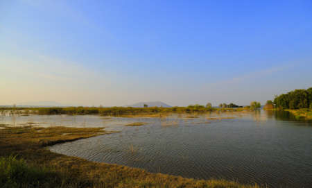  Nature of Thailandの写真素材