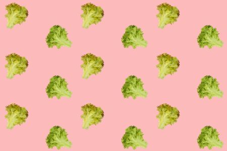 modern bright pop art, texture, lettuce seamless pattern, concept of healthy eating, dieting, snacking at work, at school, student fast foodの写真素材