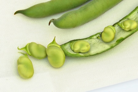 Several pods, one opened on a white napkinの写真素材