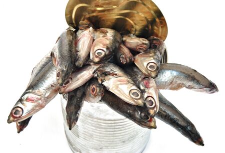 Several anchovies protruding from a metal surrounded by whiteの写真素材