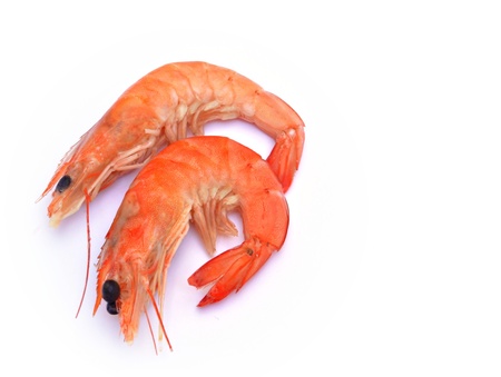 Two shrimp next to each other surrounded by white backgroundの写真素材