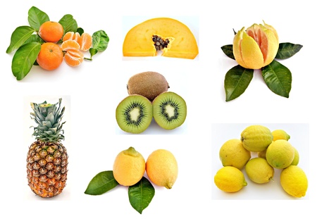 Fruit wall surrounded by white backgroundの写真素材