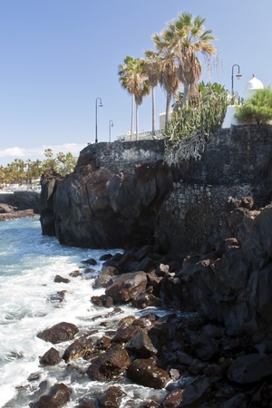 Several palm trees on the side of a rocky beachの写真素材