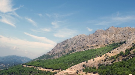 A massive landscape surrounded by treesの写真素材