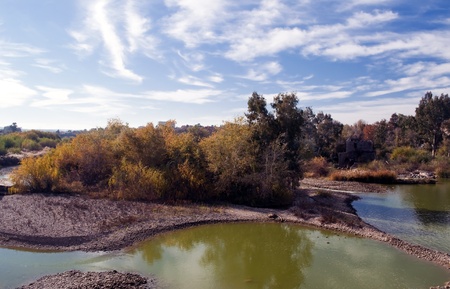 View of Guadalquivir river with a forest