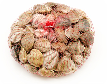 Several fresh clamsの写真素材