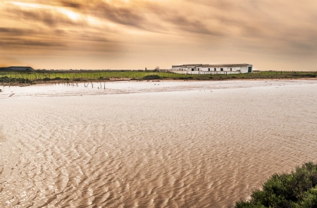 Andalusian farmhouse next to the river, it is surrounded by green fields on a cloudy day at dusk, is located in the Spanish town of Conil de la Fronteraの写真素材