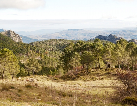 Grazalema mountain range , is located in the Spanish province of Cadiz, It´s a fall dayの写真素材