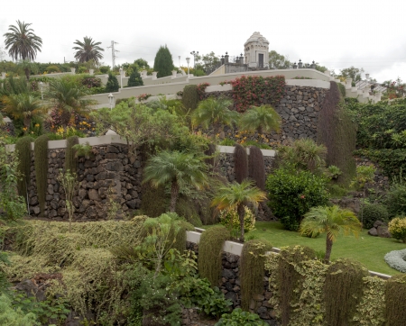 Park with several plants and palm treesの写真素材